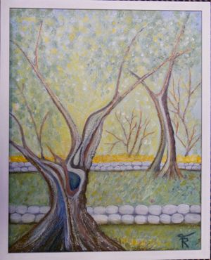 Olivenbaum auf Mallorca